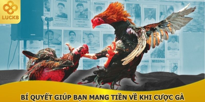 bi-quyet-giup-ban-mang-tien-ve-khi-cuoc-ga