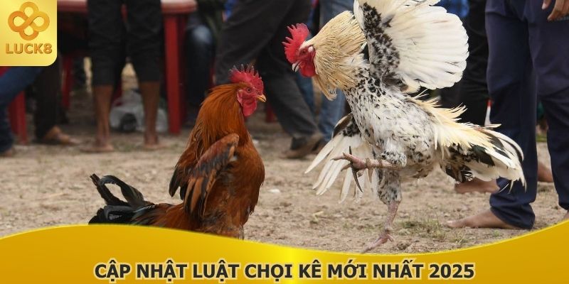 cap-nhat-luat-choi-ke-moi-nhat-2025