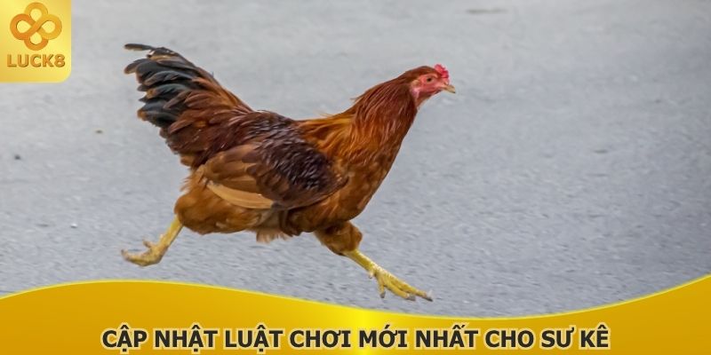 cap-nhat-luat-choi-moi-nhat-cho-su-ke