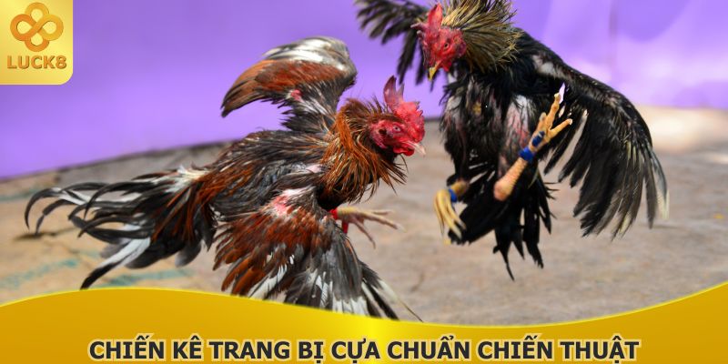 chien-ke-trang-bi-cua-chuan-chien-thuat-quyet-dinh-the-tran-ngay-tu-dau