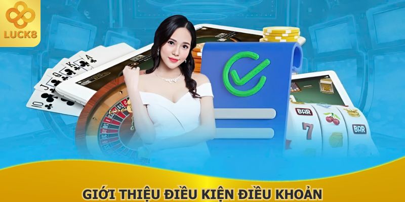 gioi-thieu-vai-net-can-ban-ve-dieu-kien-dieu-khoan