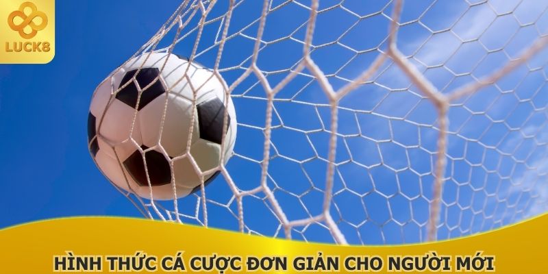 hinh-thuc-ca-cuoc-don-gian-cho-nguoi-moi